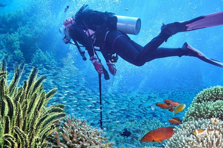 Zanzibar diving experiences from the North East coast