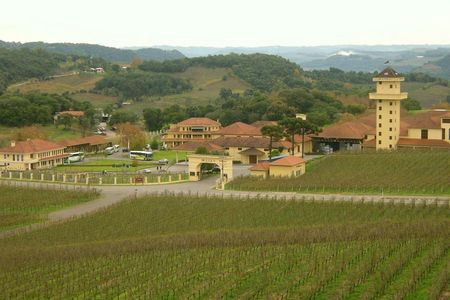 Gran Reserva wine tour with tasting