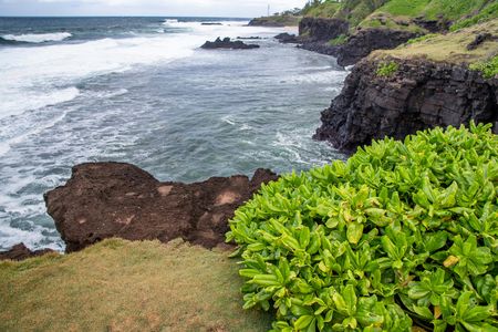 La Vanille Nature Park and Gris Gris beach tour