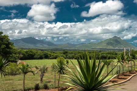 Casela Nature Parks entrance tickets with transfer