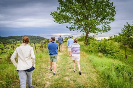 Foraging experience at the Luberon National Park