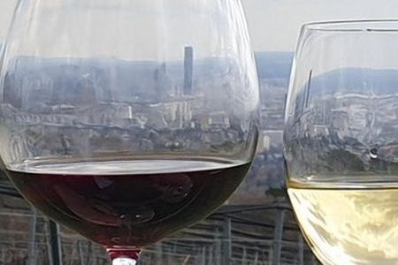 Historical wine tasting and walking tour in Vienna