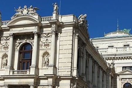 Vienna private city center and hills tour with a van