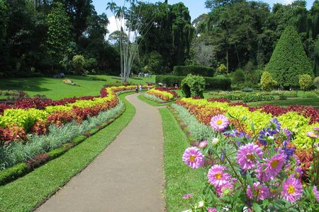 Kandy day tour from Colombo