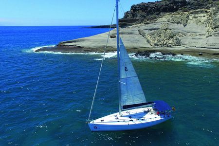 Whale and dolphin watching on an exclusive sailboat in Tenerife