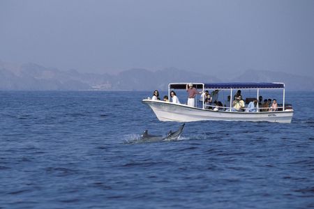 Dolphin watching and snorkeling in Oman