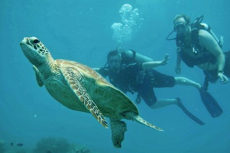 Fast stylish Catamaran in the Great Barrier Reef