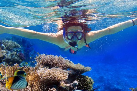 Eilat coral reef snorkeling with instructor