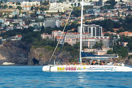 Madeira wine tasting and dolphin watching tour