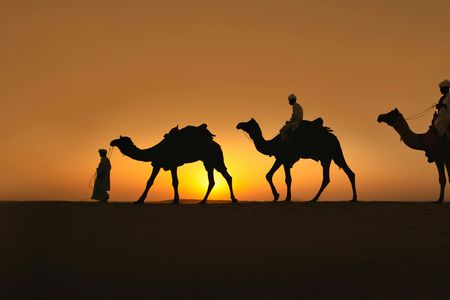 Naqb National Park in a 4x4 with camel ride and dinner