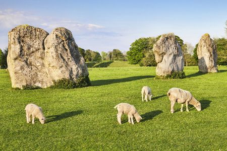 Bath, Avebury and Lacock Village small group day tour from London