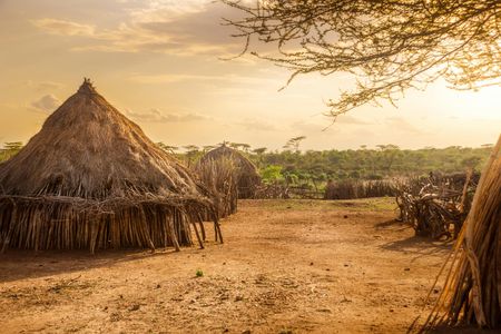 Kaya Kinondo Sacred Forest half-day tour from Mombasa south coast