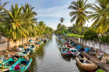 Negombo lagoon boat cruise from Colombo