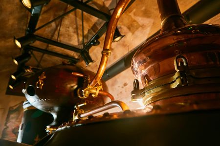 Cognac vineyards and distilleries half-day private tour from Charente