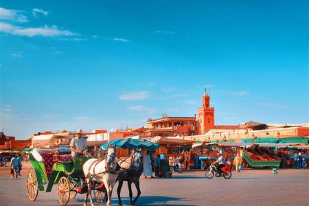 Marrakech private full-day city tour with a driver