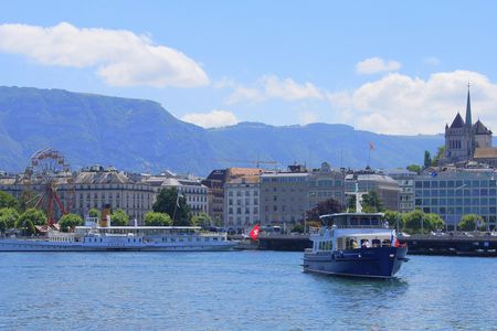 Geneva sightseeing cruise