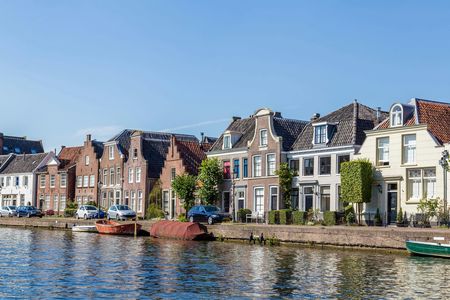 Private day tour and cruise with lunch on Vecht River from Amsterdam