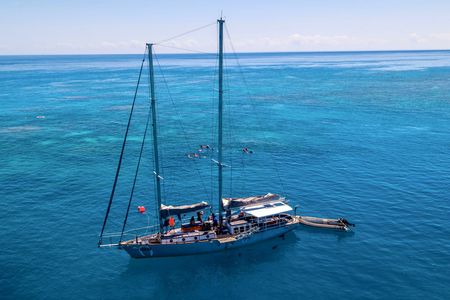 Personal sail, tropical island, and  snorkel in the Great Barrier Reef