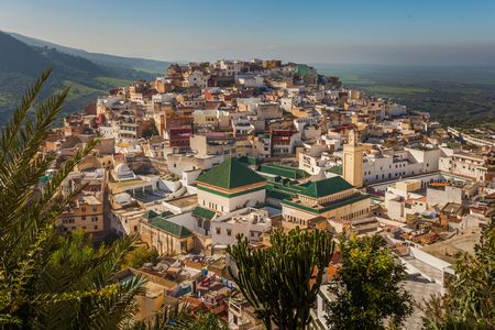 Meknes and Volubilis day trip from Fez