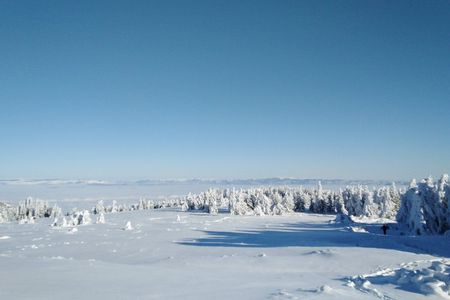 Full day hiking with snowshoes on Vitosha from Sofia