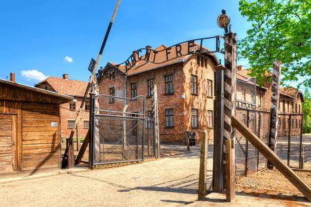Auschwitz-Birkenau Memorial full-day guided tour from Kraków