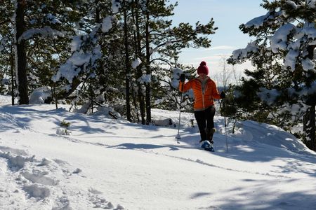 Snowshoe adventure from Stockholm