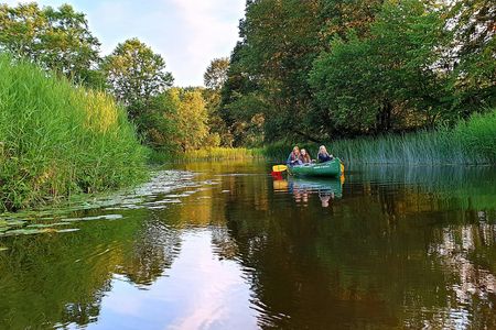 Guided day-trip in the wilderness including bog shoeing and canoeing