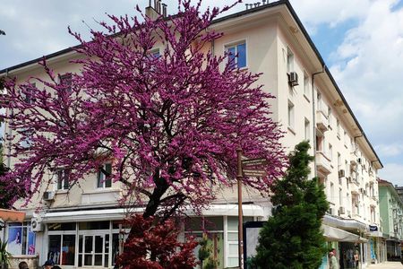 Self-guided Sliven history and wine half-day tour