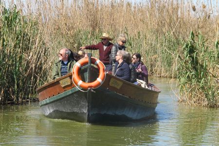 Valencia 48-hour touristic bus and Albufera tour