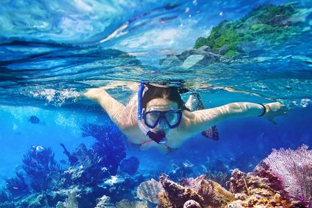 Guided snorkel tour with oceanographers