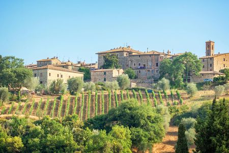 Wine tasting and lunch in a typical winery in Montepulciano