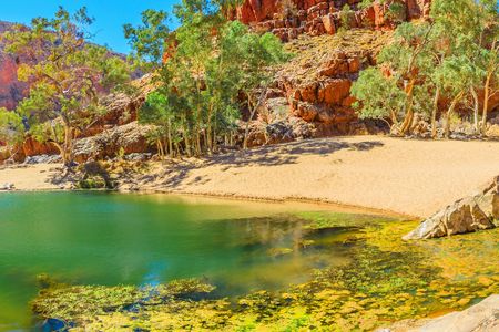 West MacDonnell Ranges half-day tour