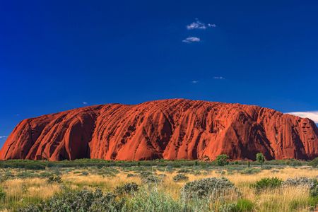 Uluru Sunrise and Field of Light