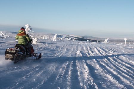 Guided snowmobile tour in Sälen