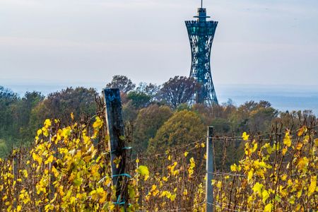 Day trip to Prekmurje with private transportation from Ljubljana
