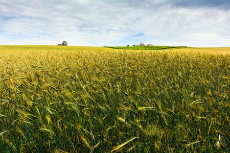 Explore the past and present of Prekmurje region