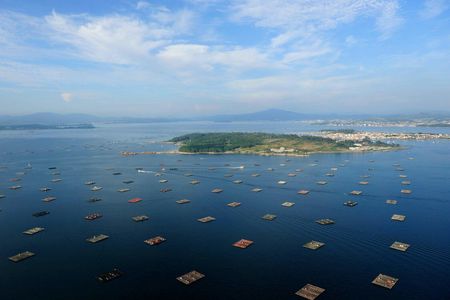 Full-day tour and boat trip to Rías Baixas from Santiago