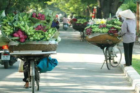 Hanoi highlights full-day tour with cyclo ride and water puppet show