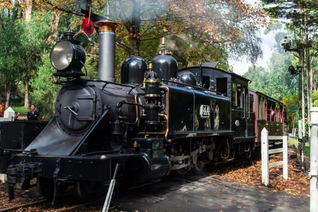 Puffing Billy and Healesville Sanctuary scenic bus tour