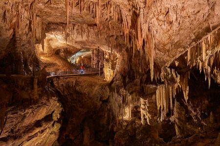 Day trip to Postojna Cave and Predjama Castle from Koper