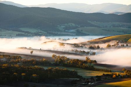 Yarra Valley Bus Wine Tour including lunch with a glass of wine and chocolate