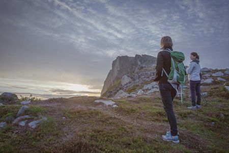 Night hike on the wild side