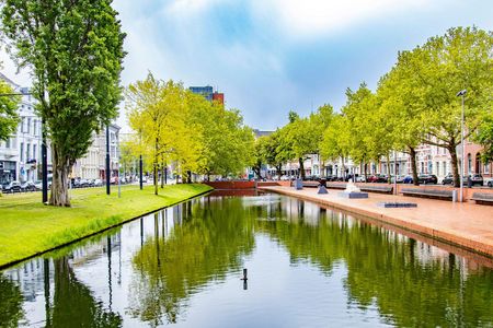 Architectural walk of Rotterdam with a local