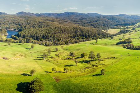 Yarra Valley And Dandenong Ranges bus scenic tour with lunch wine and chocolate