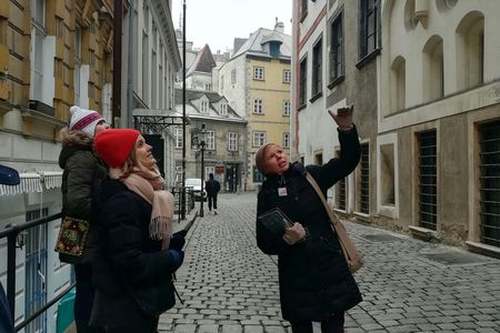 Vienna, City of Many Pasts: guided city tour with a friendly historian