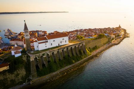 Slovenian Istra wine tour from the Slovenian Coast
