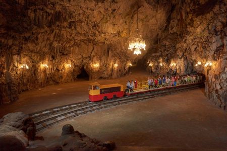 Lipica Stud farm and Postojna cave tour from the Slovenian Coast