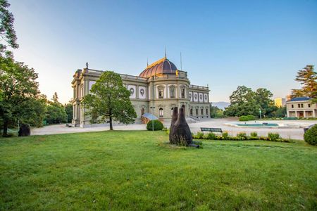 Explore Geneva's art and culture with a local