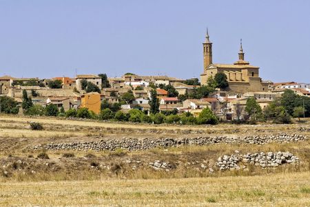 Full-day wine tour and visit to Goya's birthplace