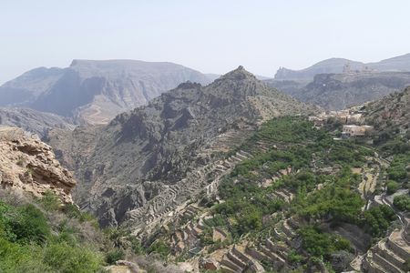 Jebel Akhdar tour with a local touch
